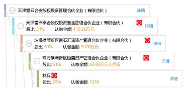 天津雷石合安股权投资管理合伙企业（有限合伙） 股权投资管理的专业践行者